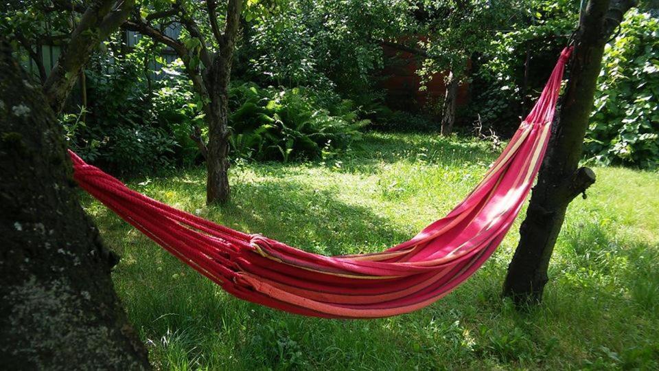 Easy Rider Hostel Wroclaw Luaran gambar